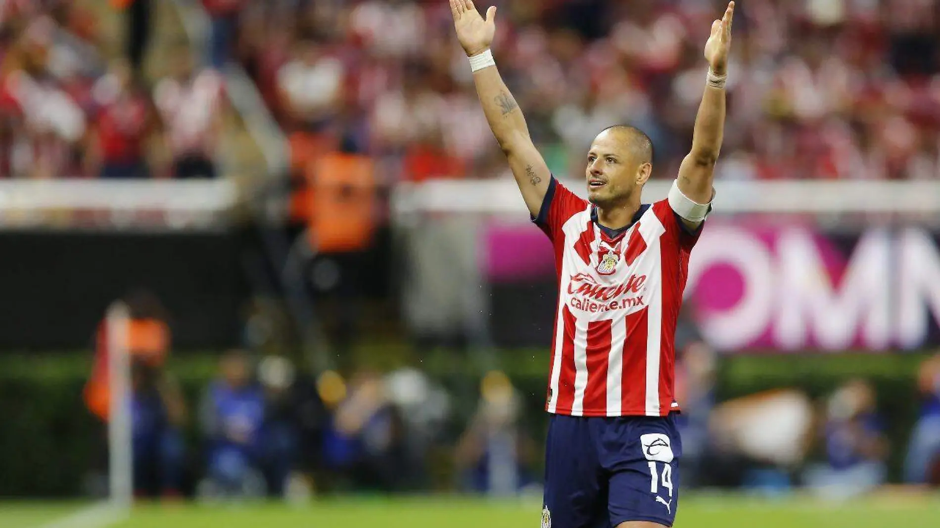 Chicharito Hernández  se reencuentra con el gol ante el Club Puebla